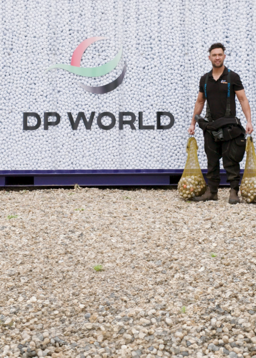 Sustainable strokes with DP World containers